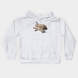 Abyssinian cat lying Kids Hoodie